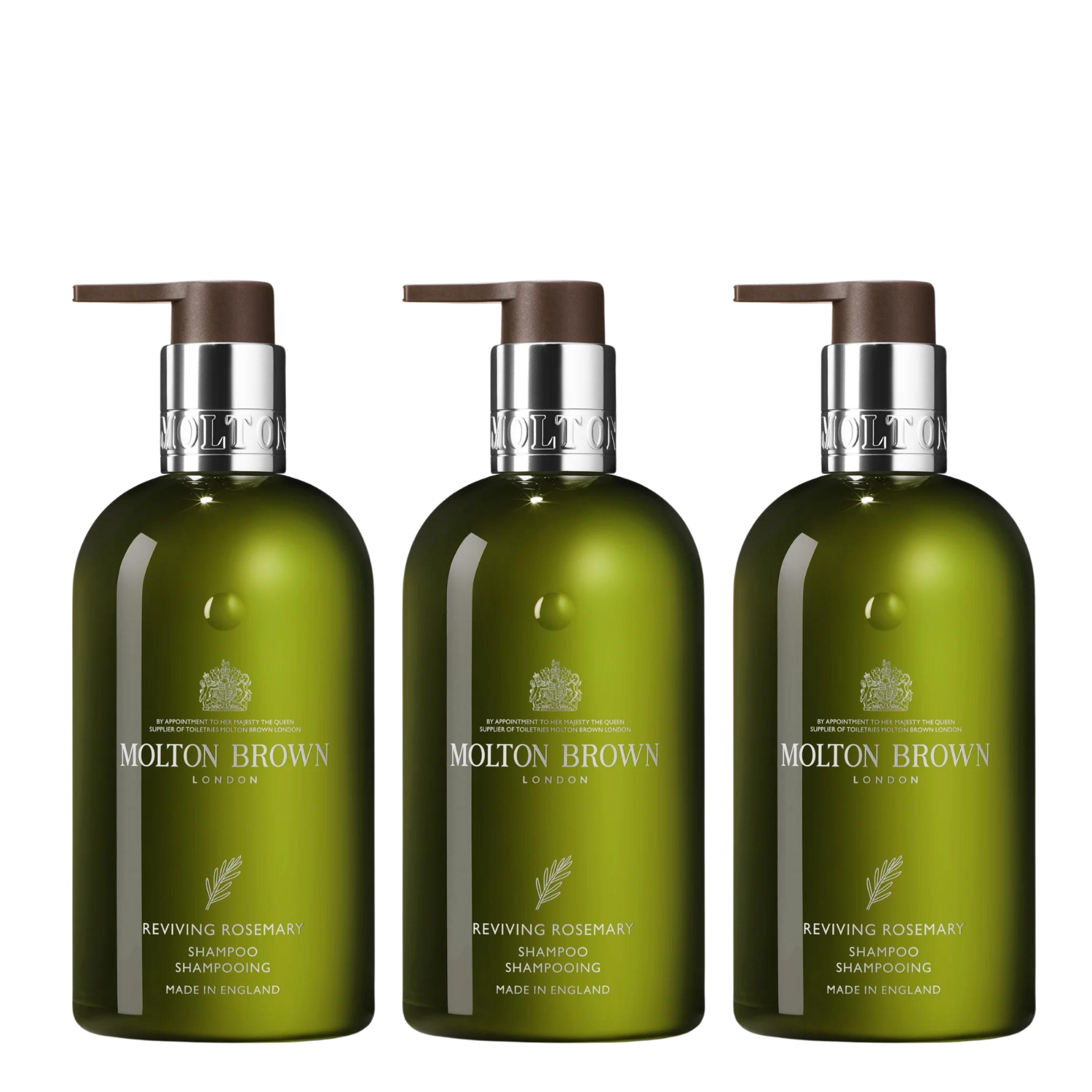 モルトんブラウン 3本セット シャンプー&コンディショナー モルトん モルトんブラウン 3本セット シャンプー&コンディショナー モルトん
