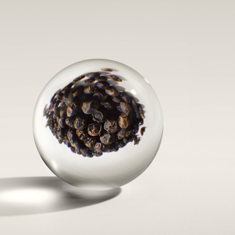 ブラックペッパー オードトワレ 100ml – MOLTON BROWN