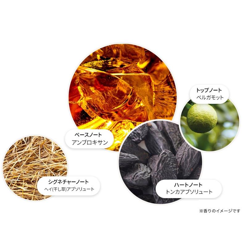 ネオンアンバー オードパルファン 7.5ml – MOLTON BROWN