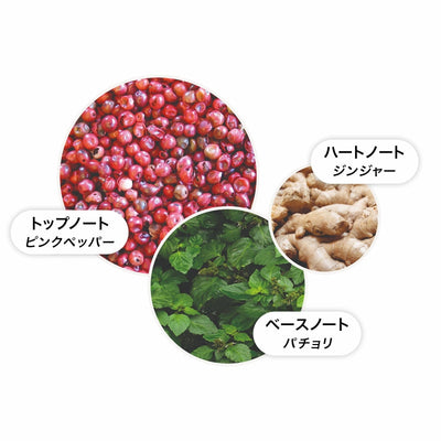 【数量限定】ピンクペッパー バス＆シャワージェル フェスティブボーブル 75ml