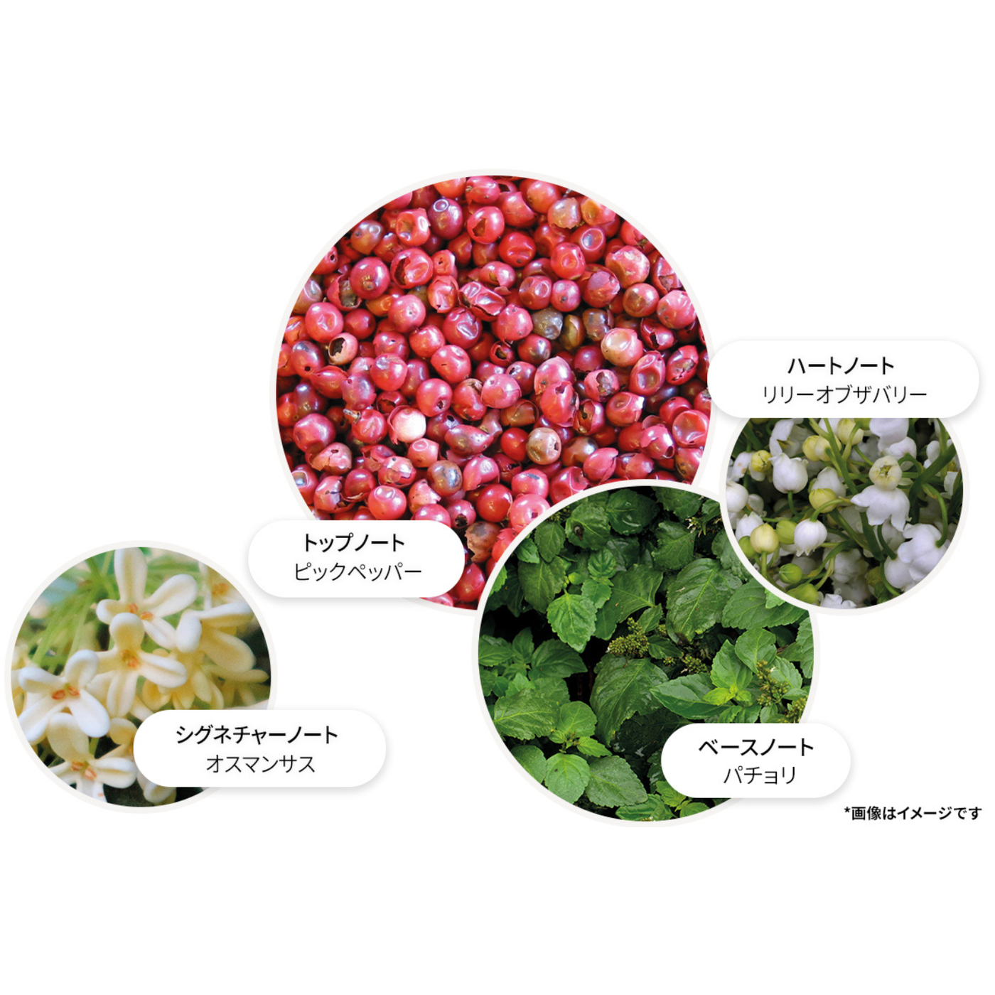 【数量限定】ピンクペッパー オードパルファン フェスティブボーブル 7.5ml