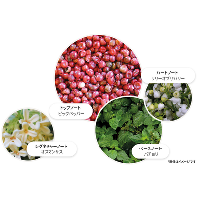 【数量限定】ピンクペッパー オードパルファン フェスティブボーブル 7.5ml