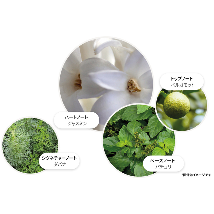 ジャスミン＆サンローズ オードパルファン 100ml – MOLTON BROWN