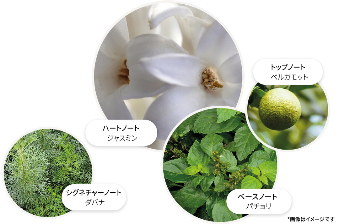 ジャスミン＆サンローズ オードトワレ 100ml – MOLTON BROWN