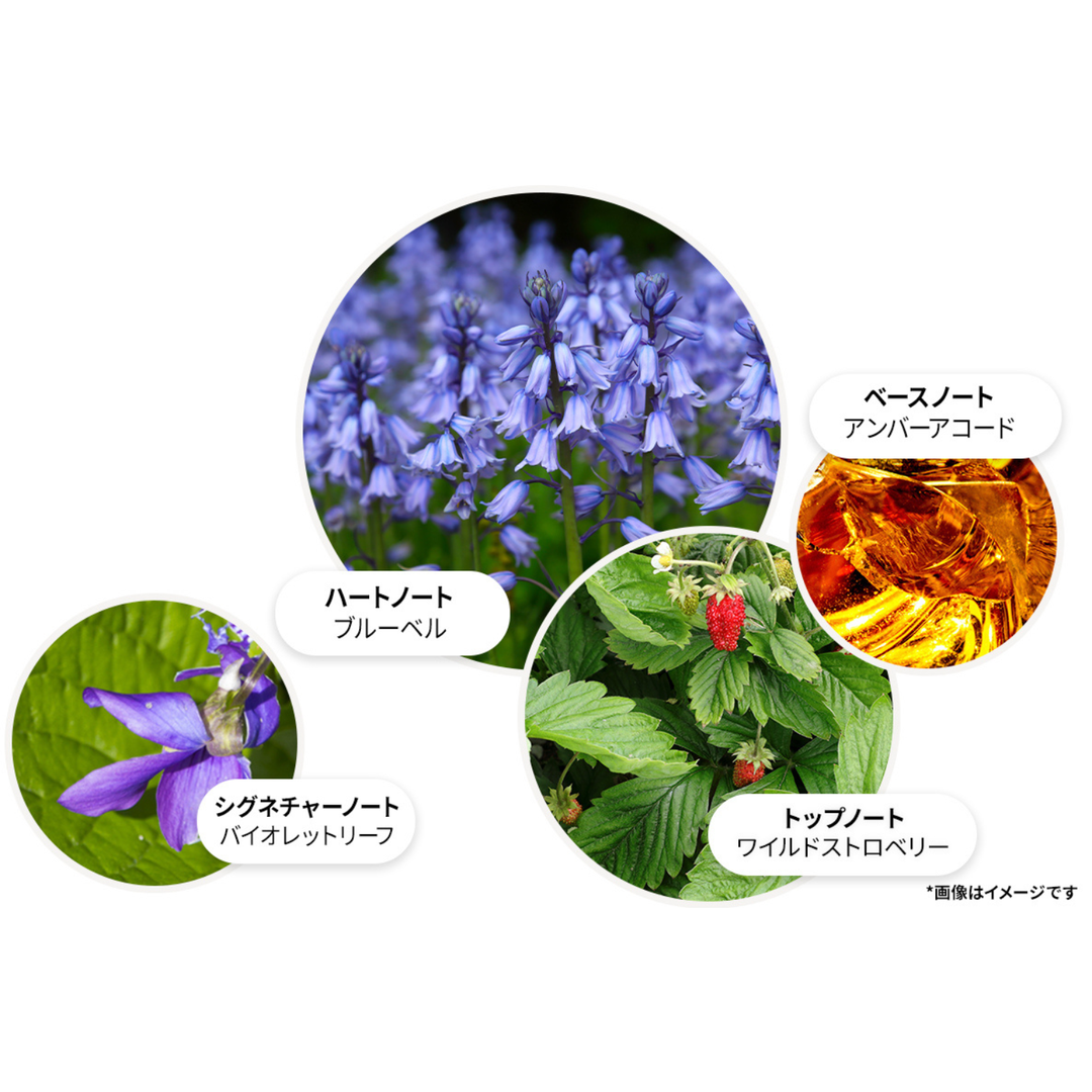 ブルーベル＆ワイルドストロベリー オードパルファン 100ml – MOLTON BROWN