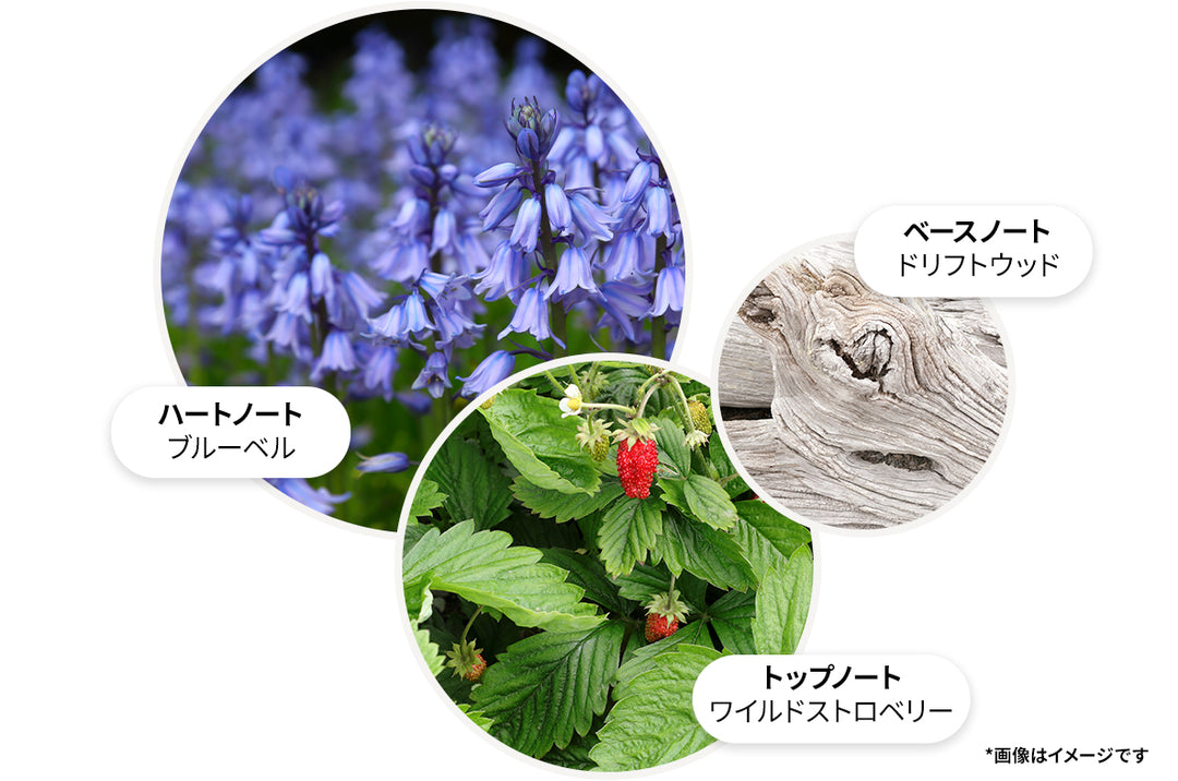 ブルーベル＆ワイルドストロベリー バス＆シャワージェル 300ml