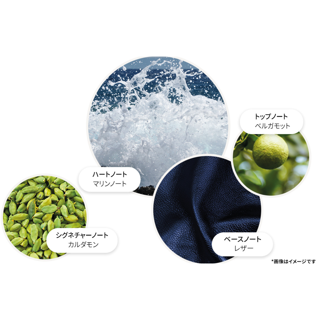 サイプレス＆シーフェンネル オードパルファン 100ml – MOLTON BROWN
