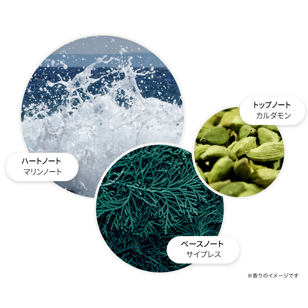 サイプレス＆シーフェンネル ハンドケア ギフトセット 300ml×2