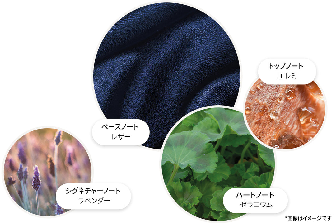 ダークレザー オードパルファン 100ml – MOLTON BROWN