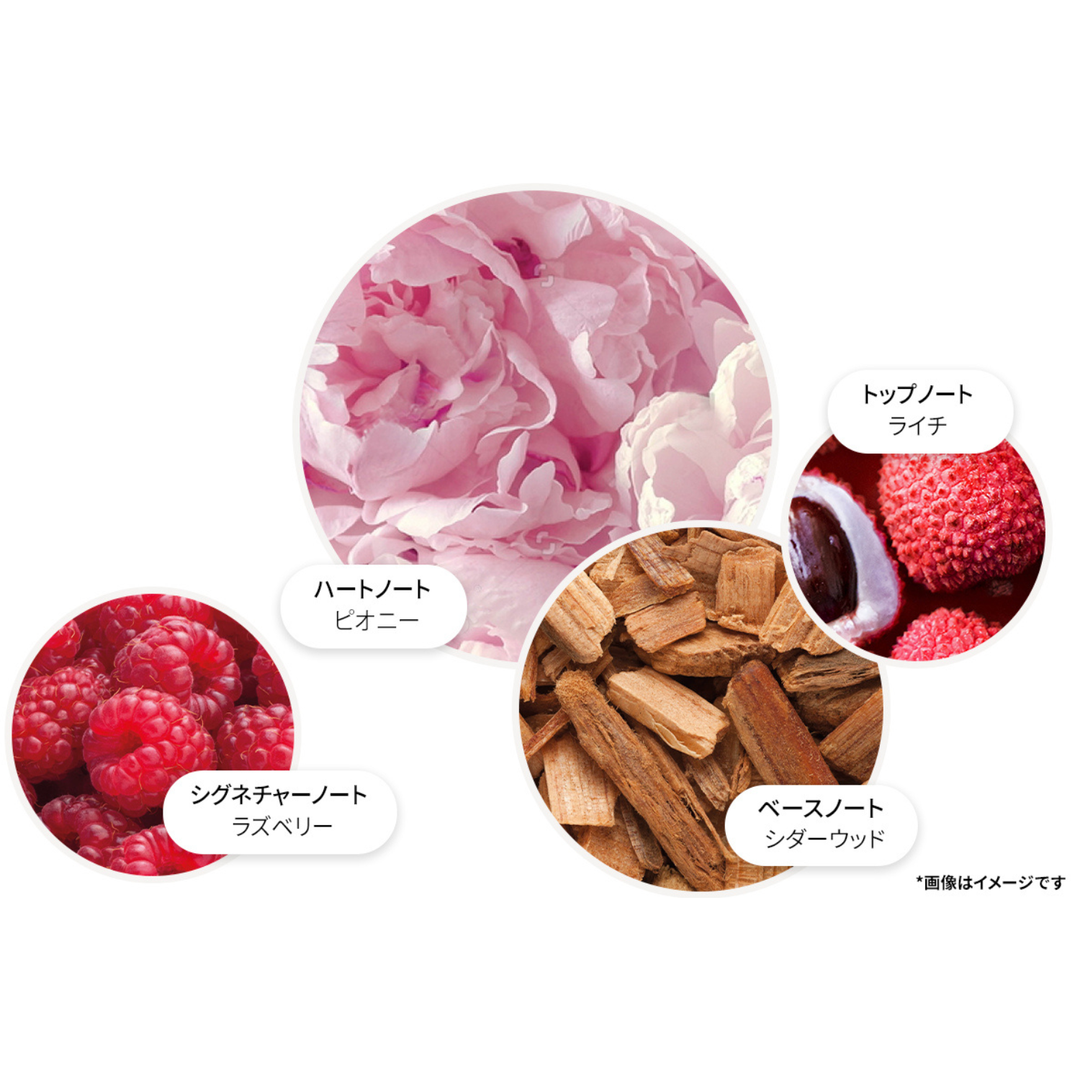 デリシャス ルバーブ＆ローズ オードパルファン 7.5ml – MOLTON BROWN