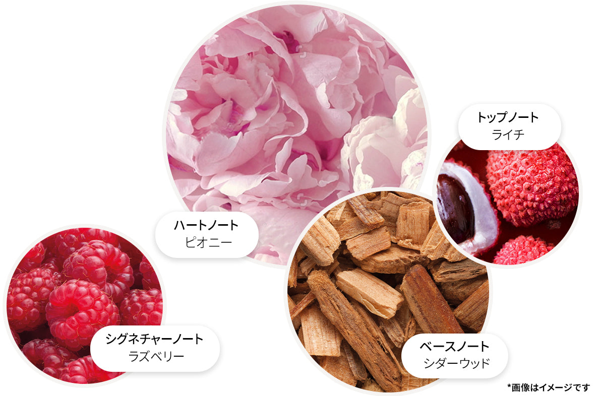 デリシャス ルバーブ＆ローズ オードパルファン 7.5ml