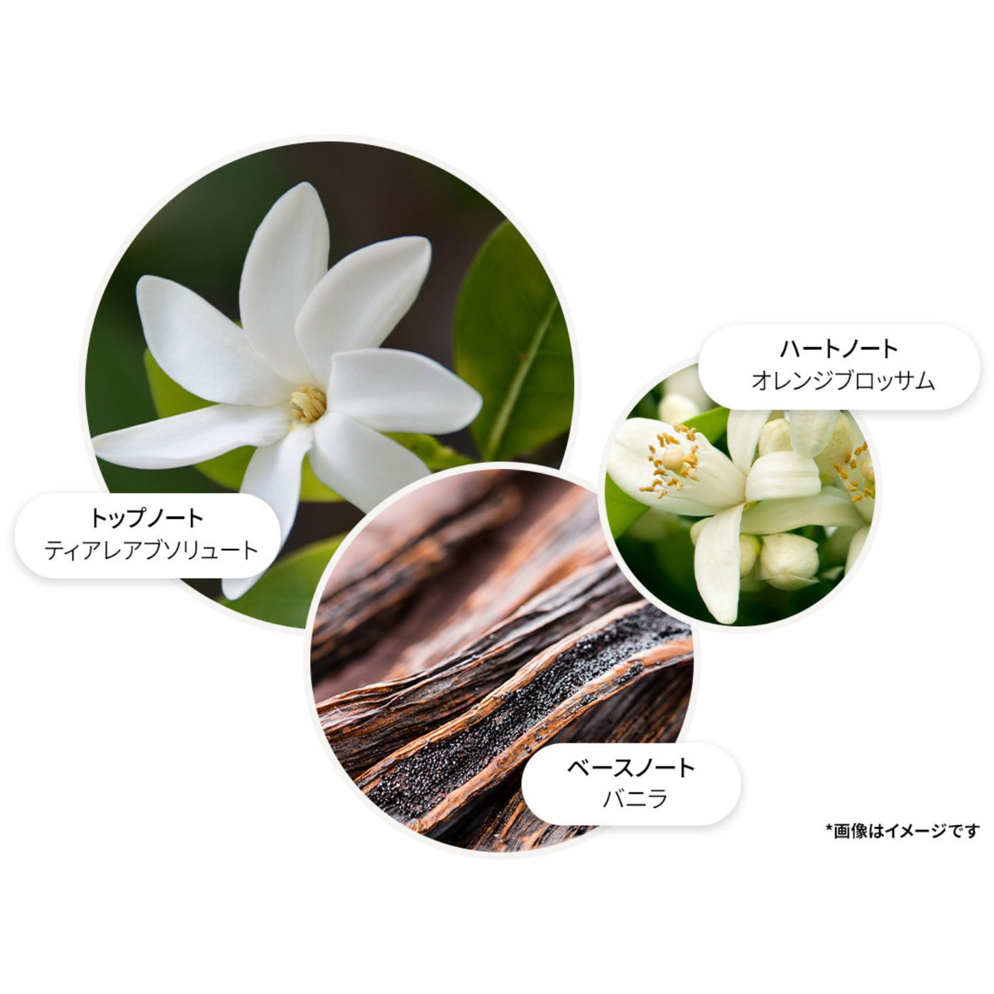 フローラ ルミナーレ ハンドクリーム 40ml