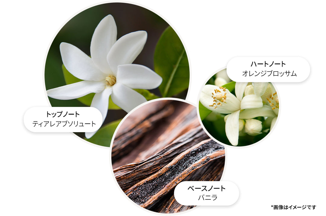 フローラ ルミナーレ オードトワレ 100ml – MOLTON BROWN