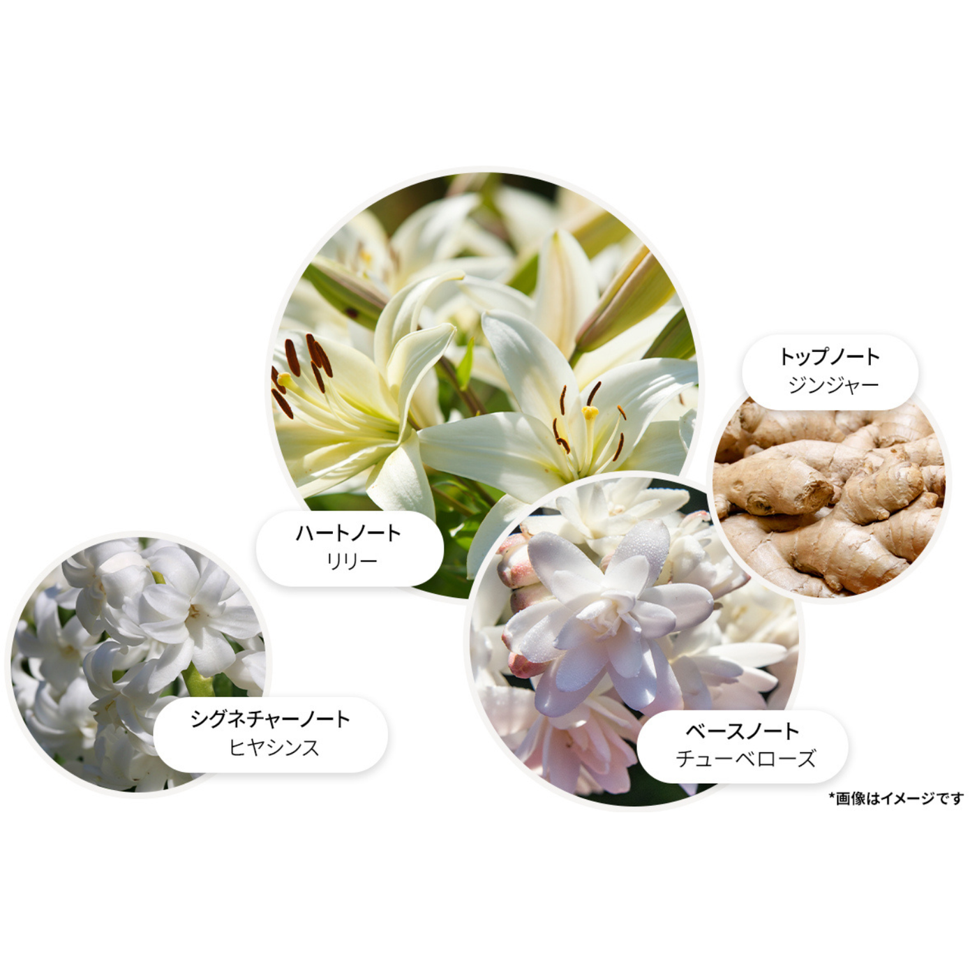 ジンジャーリリー オードパルファン 100ml