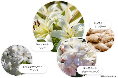 ジンジャーリリー オードパルファン 7.5ml