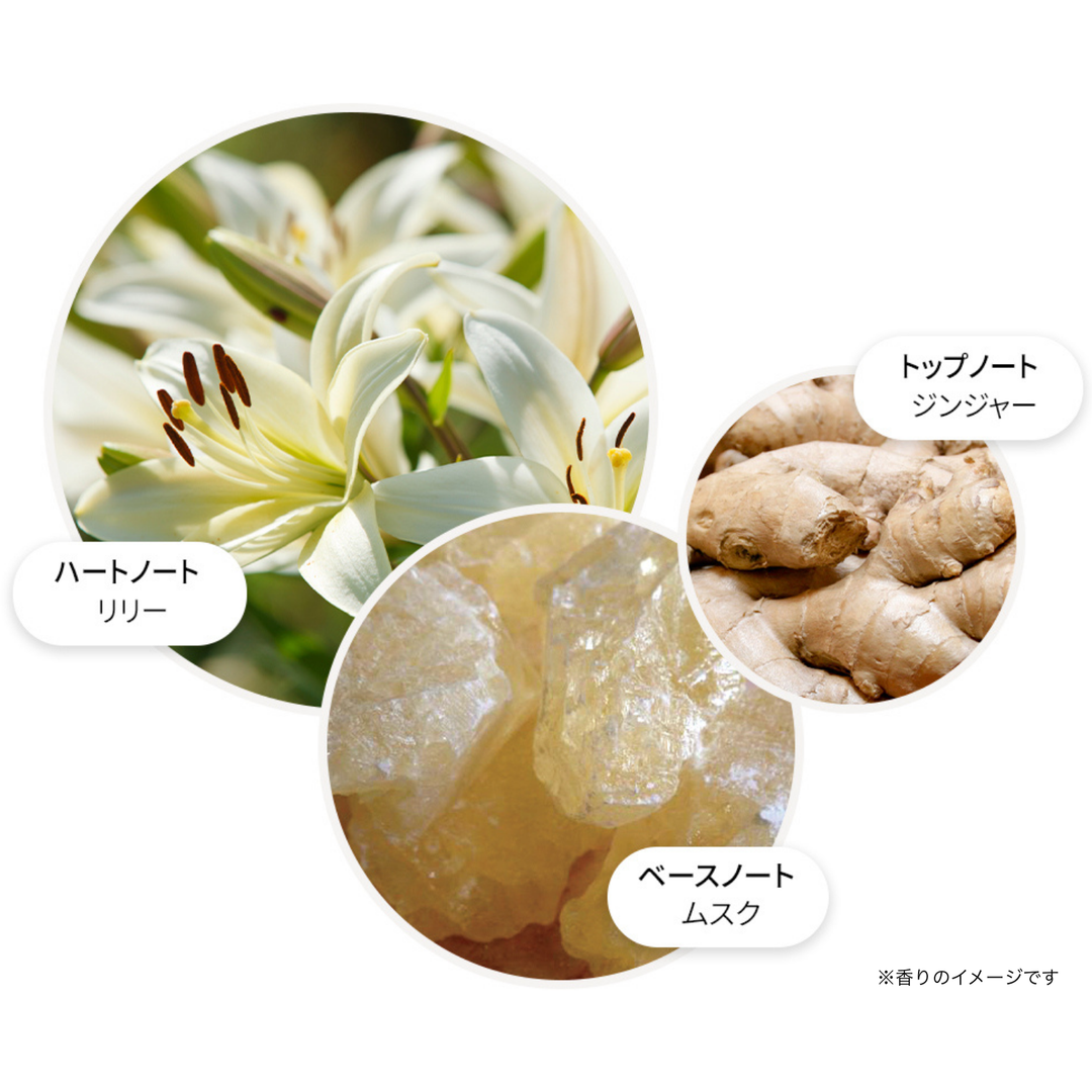 ジンジャーリリー オードトワレ 100ml – MOLTON BROWN ジンジャーリリー オードトワレ 100ml – MOLTON BROWN