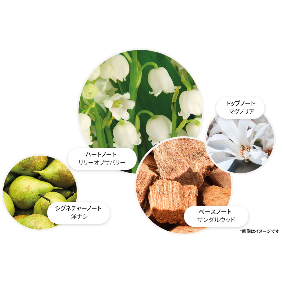 リリー＆マグノリアブロッサム オードパルファン 100ml – MOLTON BROWN