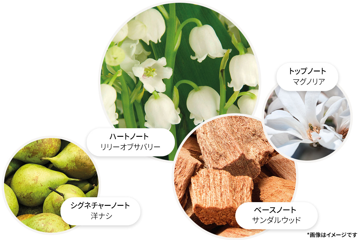 リリー＆マグノリアブロッサム オードパルファン 100ml