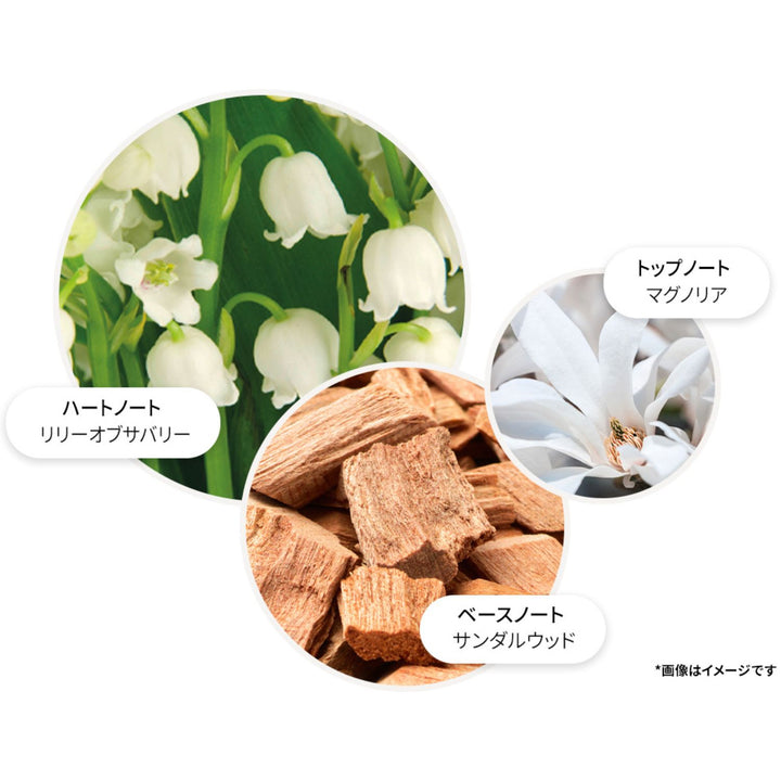 リリー＆マグノリアブロッサム オードトワレ 100ml – MOLTON BROWN