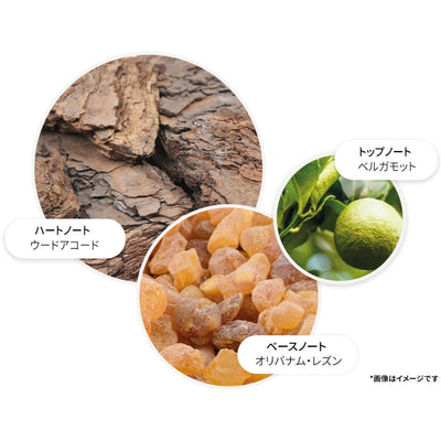 ウード・アコード＆ゴールド オードトワレ 100ml