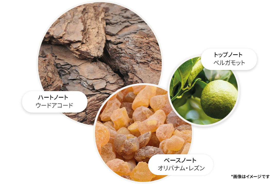 ウード・アコード＆ゴールド ハンドウォッシュ 300ml – MOLTON BROWN