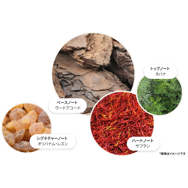 数量限定デザイン】ウード・アコード＆ゴールド オードパルファン