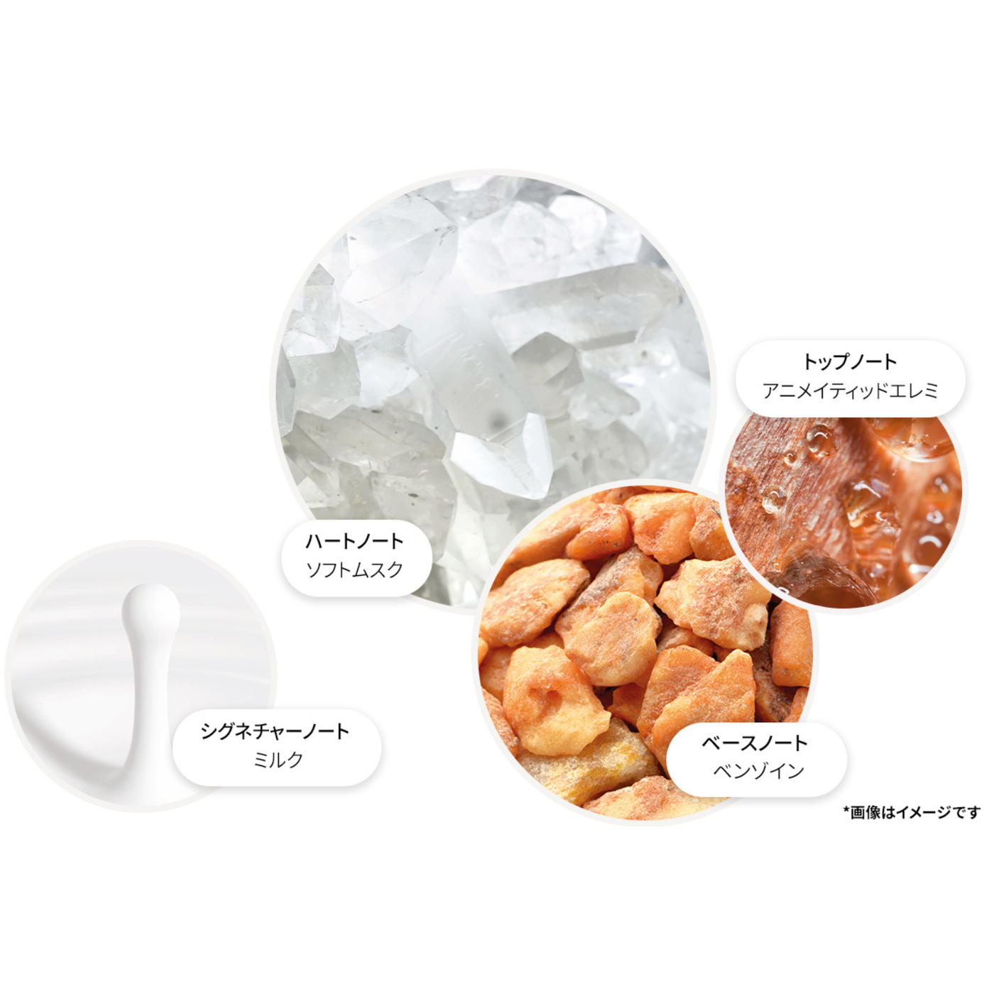 ミルクムスク オードパルファン 100ml – MOLTON BROWN