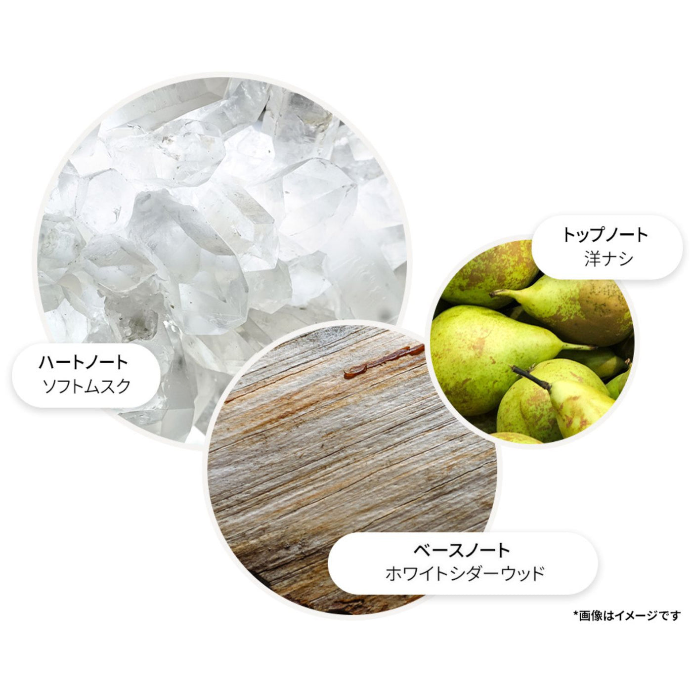 ミルクムスク バス＆シャワージェル 290ml – MOLTON BROWN