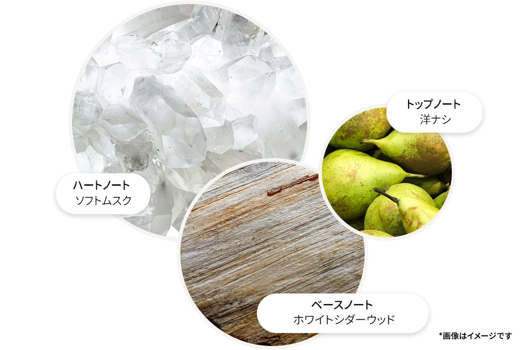 ミルクムスク オードトワレ 100ml – MOLTON BROWN
