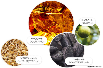 ネオンアンバー オードパルファン 100ml