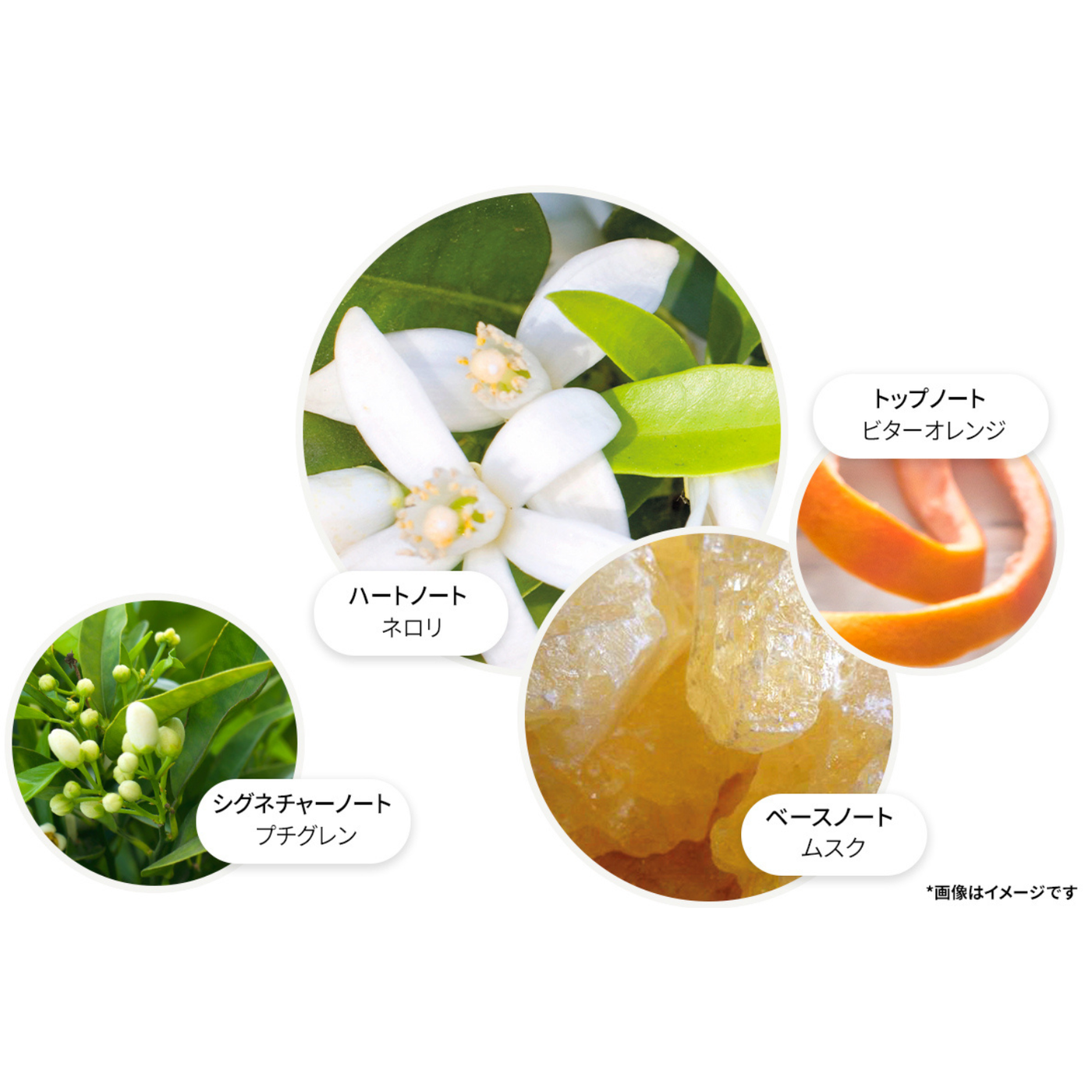 オレンジ＆ベルガモット オードパルファン 100ml