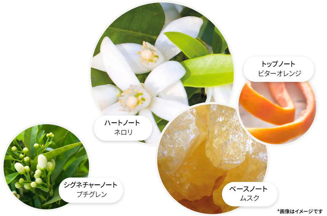モルトンブラウン イユニュー オードパルファン50ml オードパルファン – MOLTON BROWN