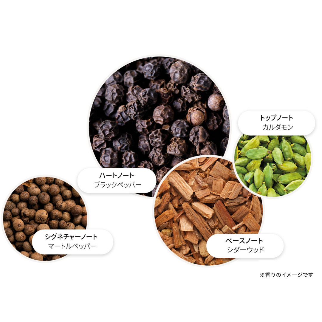 ブラックペッパー オードパルファン 7.5ml – MOLTON BROWN