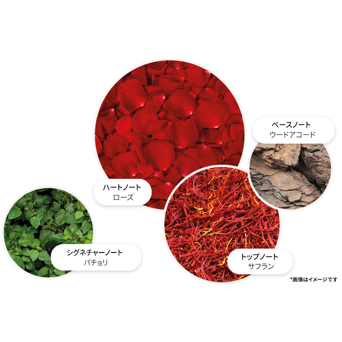 【数量限定デザイン】ローズデューン オードパルファン  100ml