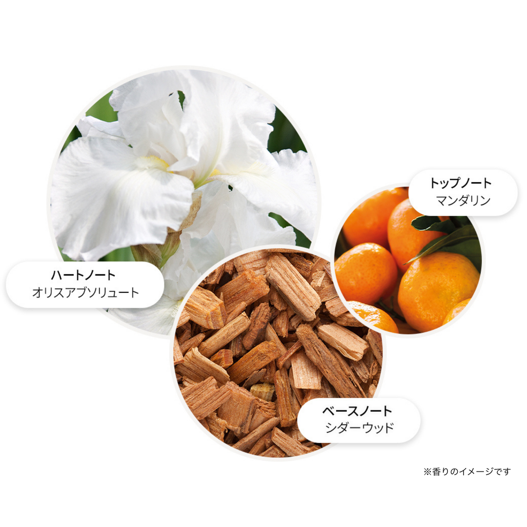 スエード オリス ボディローション 300ml – MOLTON BROWN