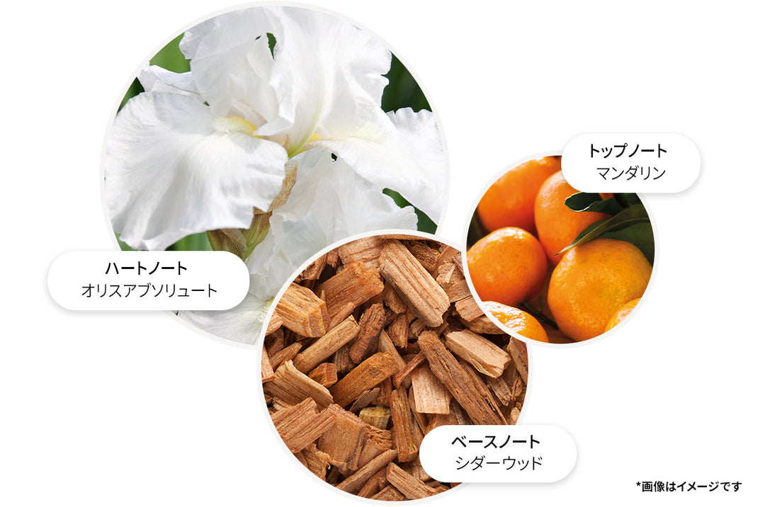 スエード オリス ボディローション 300ml – MOLTON BROWN