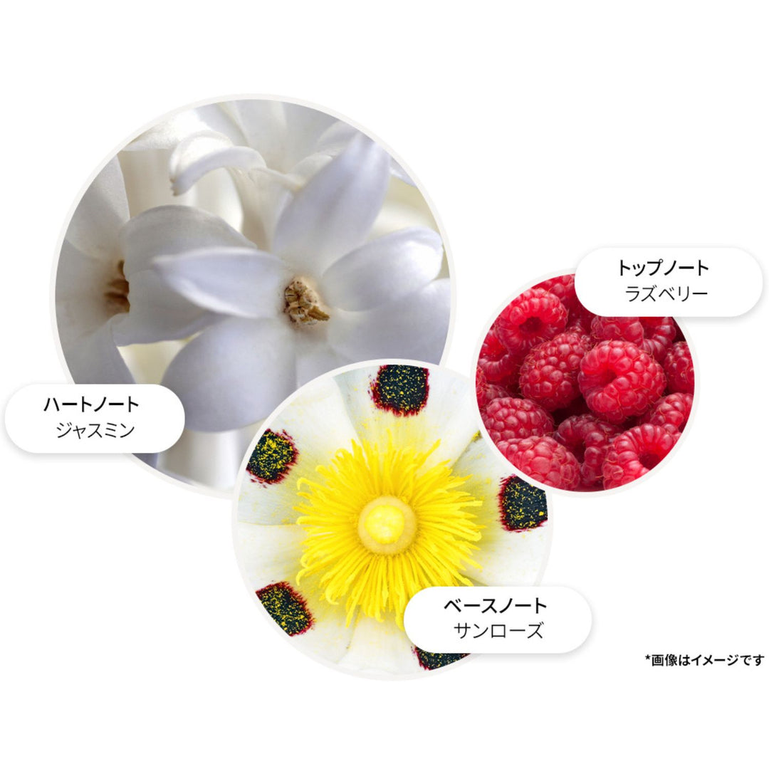 ジャスミン＆サンローズ オードトワレ 100ml – MOLTON BROWN