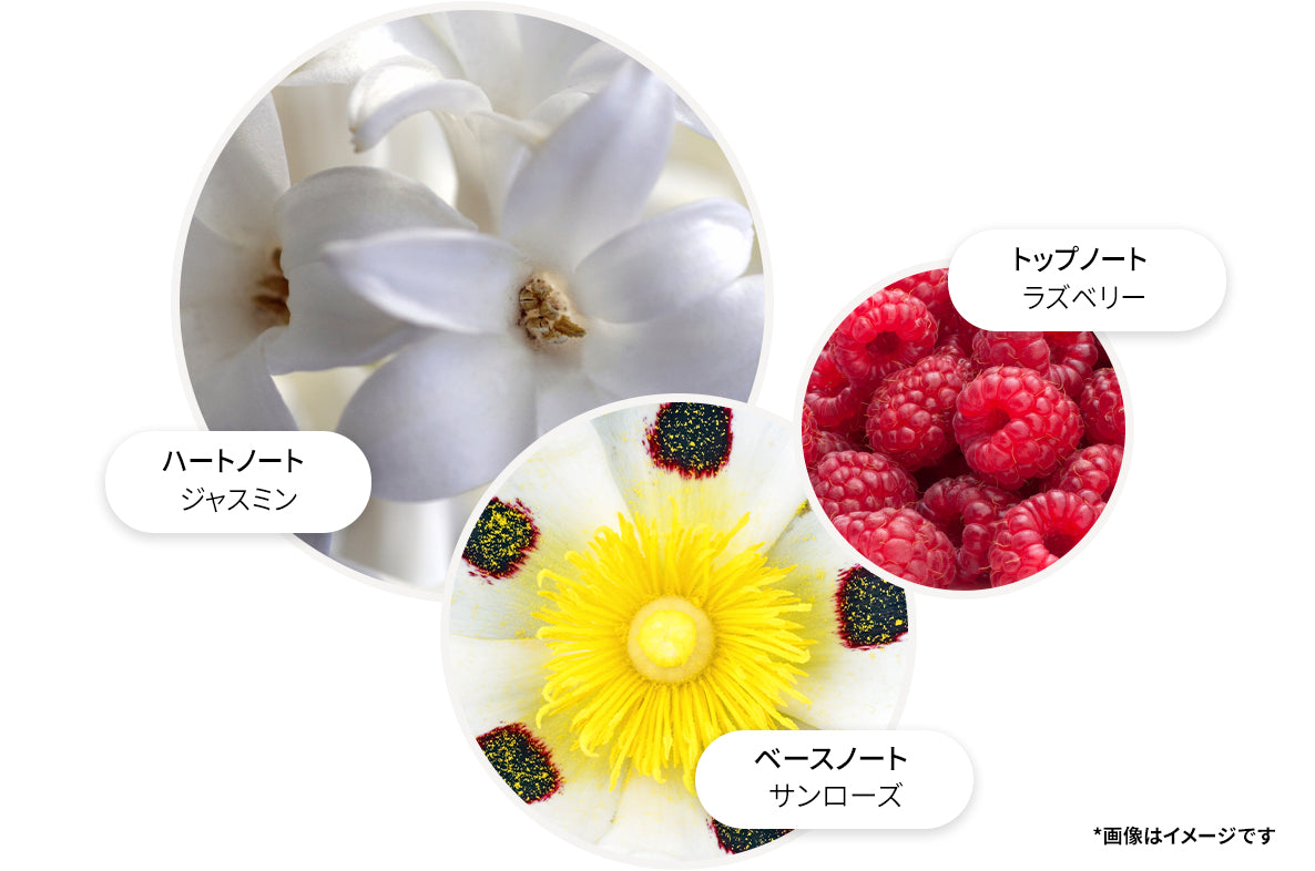 ジャスミン＆サンローズ ボディケア ギフトセット 300ml×2