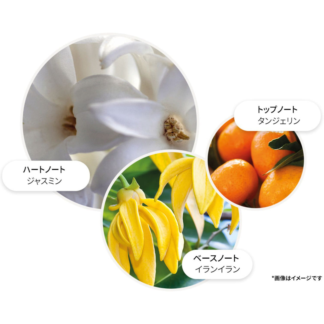 イランイラン ボディローション 300ml – MOLTON BROWN