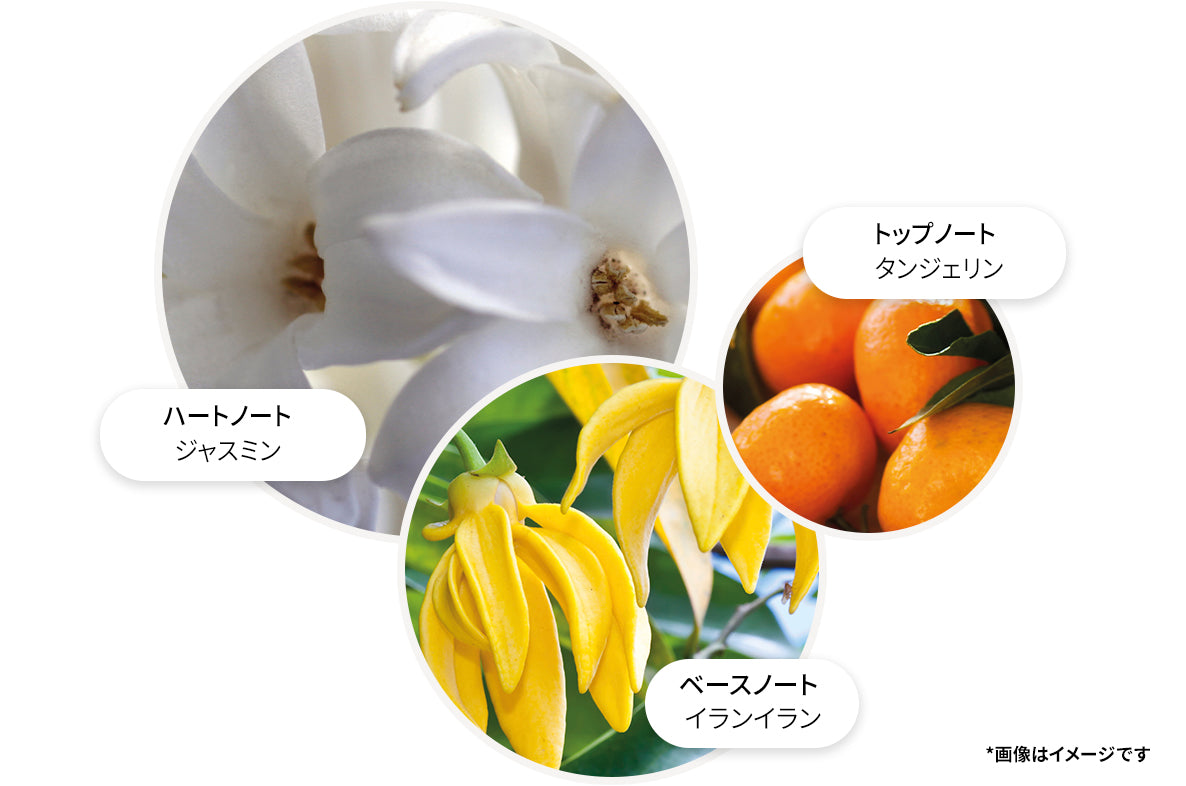 イランイラン バス＆シャワージェル 300ml