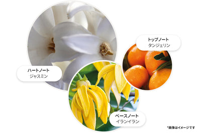 イランイラン バス＆シャワージェル 300ml