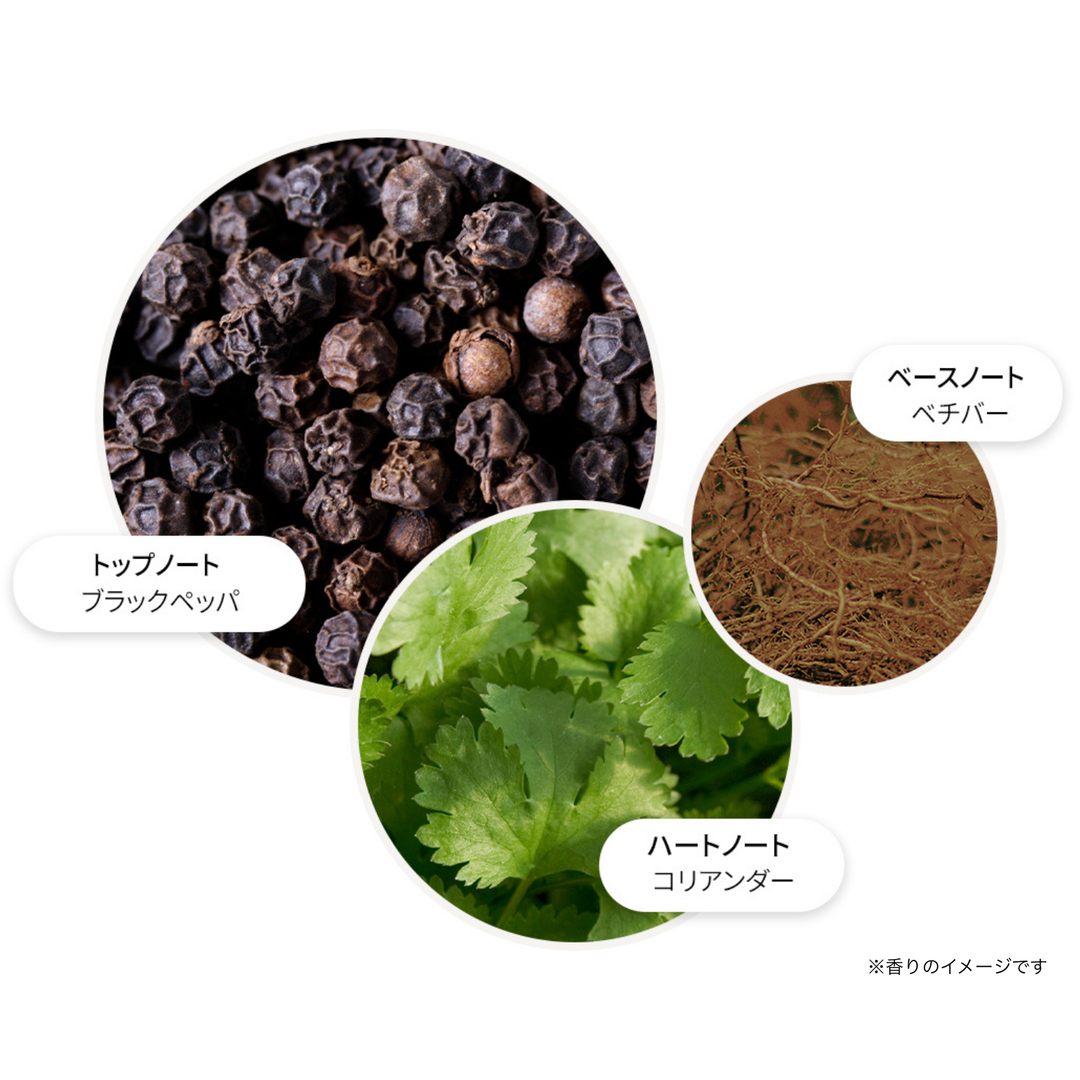 ブラックペッパー オードトワレ 100ml – MOLTON BROWN