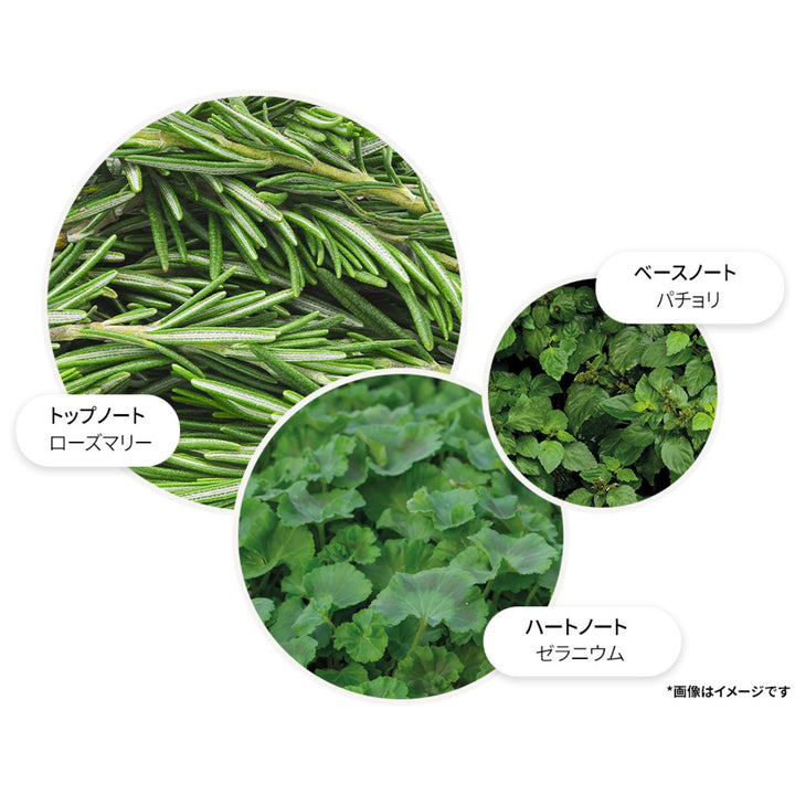 リヴァイヴィング ローズマリー オイルコロン 10ml – MOLTON BROWN