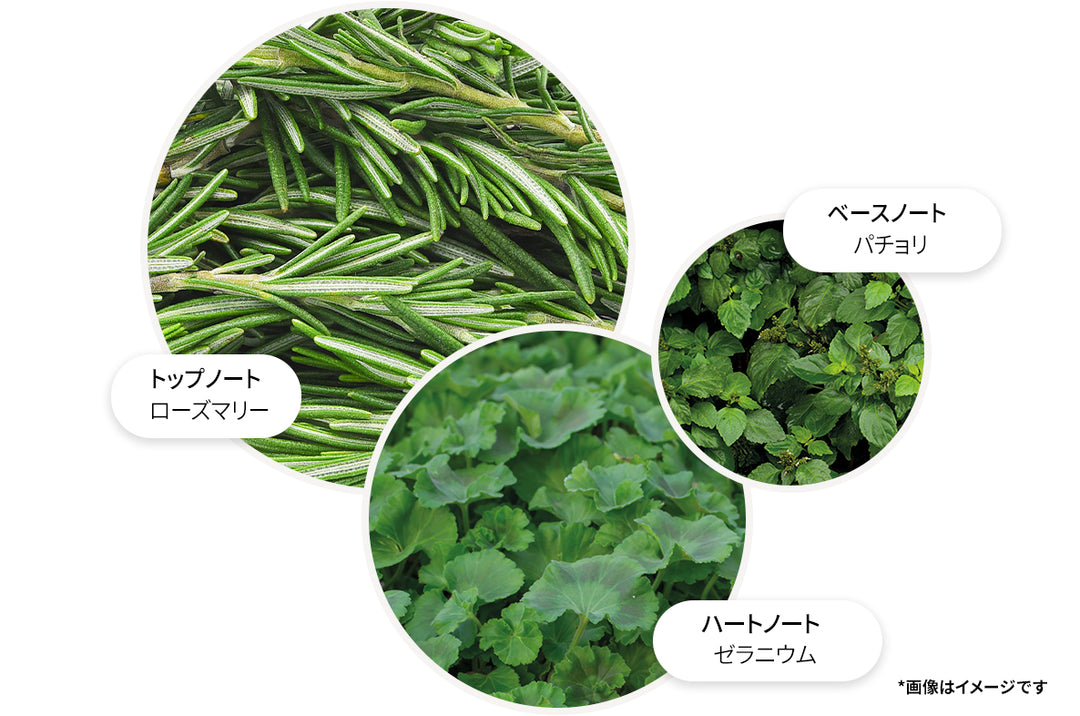 リヴァイヴィング ローズマリー ボディ＆ヘア ギフトセット 300ml×3