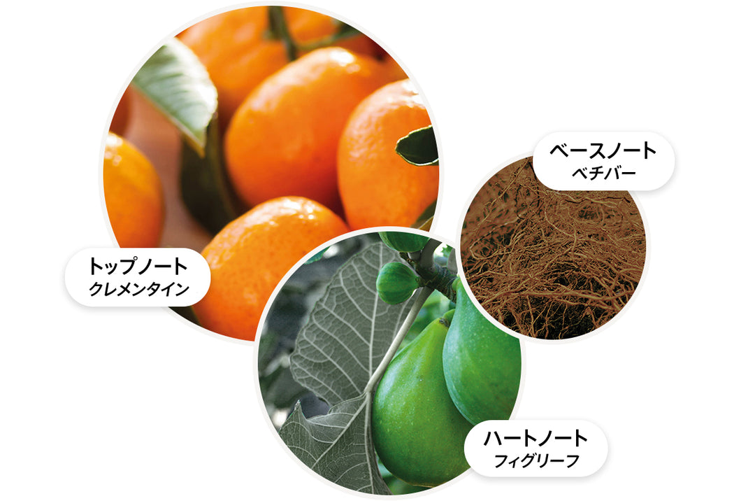 サンリット クレメンタイン＆ベチバー オードトワレ 100ml – MOLTON BROWN