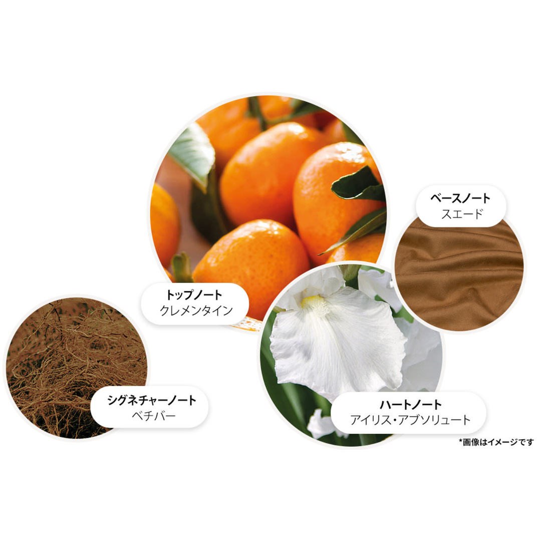 サンリット クレメンタイン＆ベチバー オードパルファン 100ml