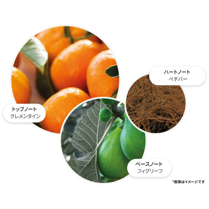 サンリット クレメンタイン＆ベチバー オードトワレ 100ml – MOLTON BROWN