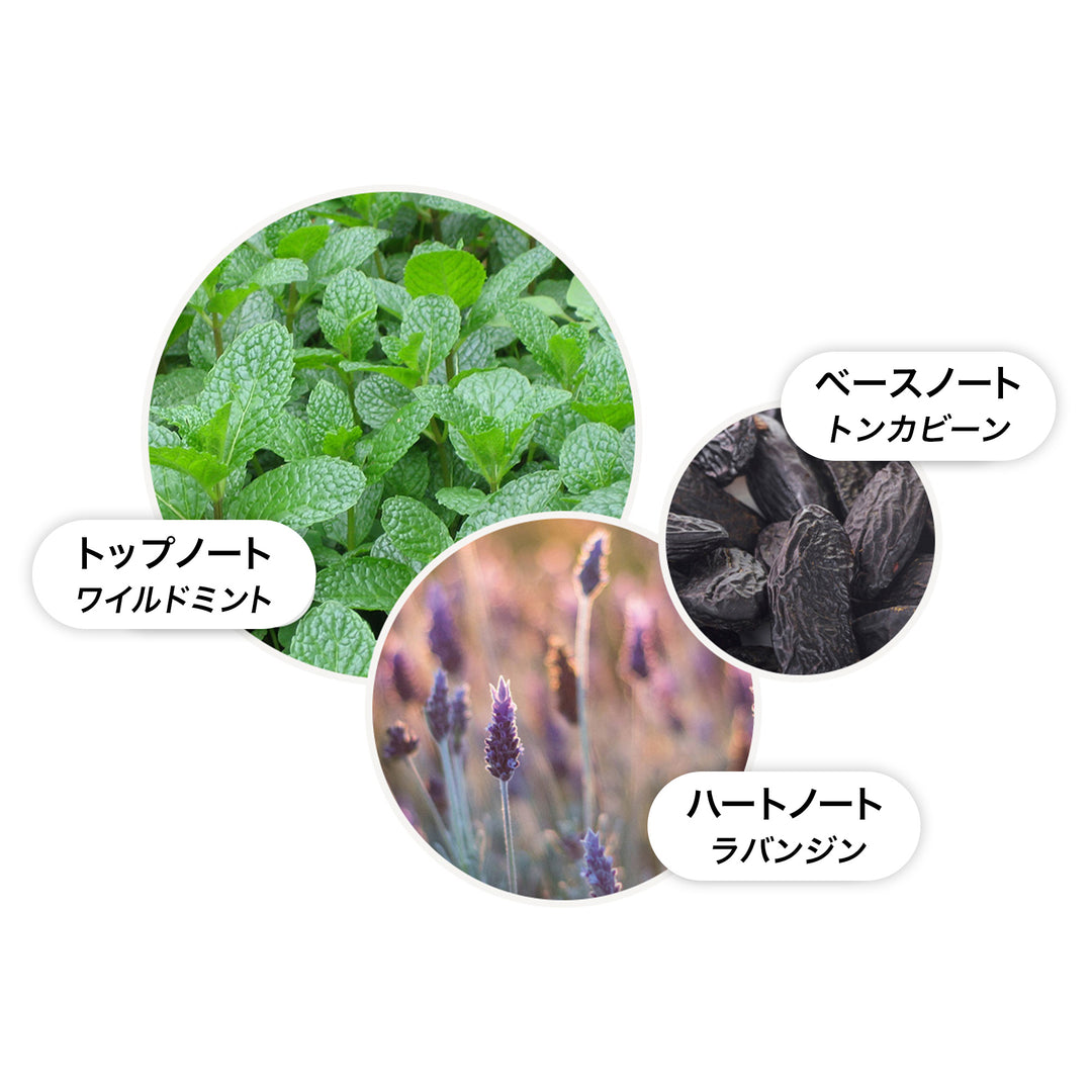 MOLTON BROWN ワイルドミント&ランバンジン オードトワレ 100ml ワイルドミント&ラバンジン オードトワレ 100ml – MOLTON BROWN