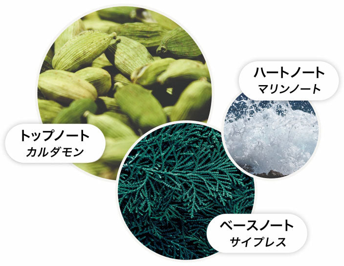 オレンジ＆ベルガモット ハンドウォッシュ 300ml – MOLTON BROWN