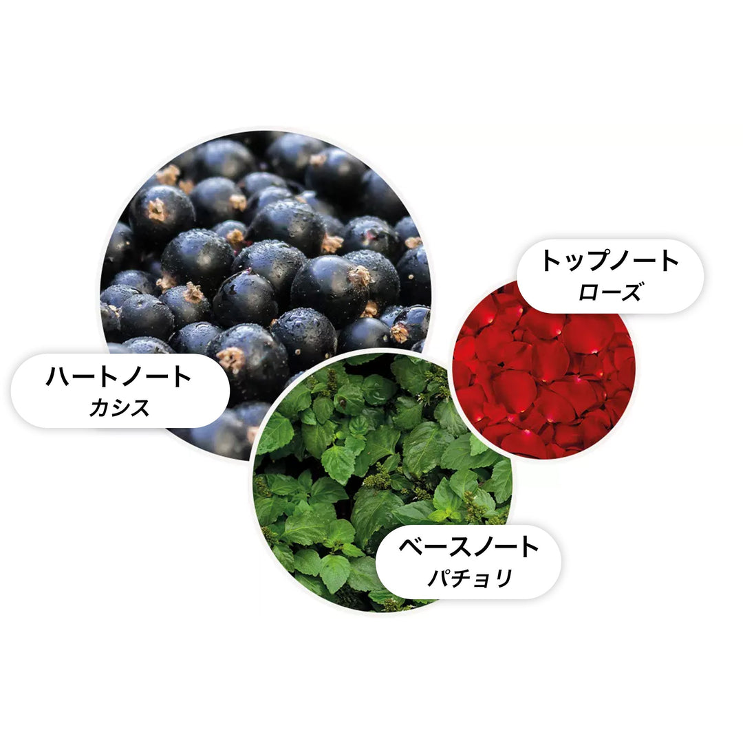 ローズデューン ボディケア ギフトセット 300ml×2 – MOLTON BROWN